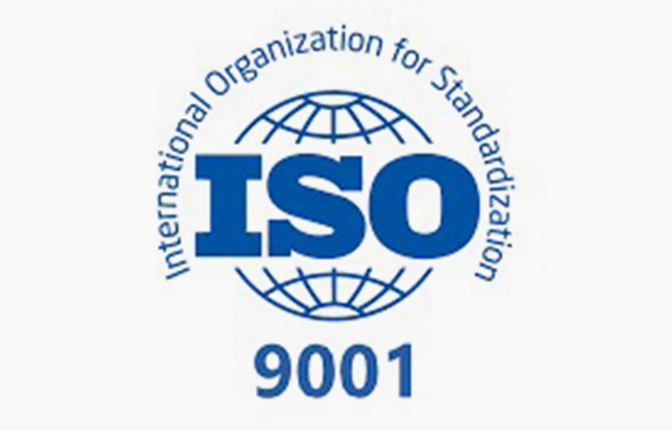 2006